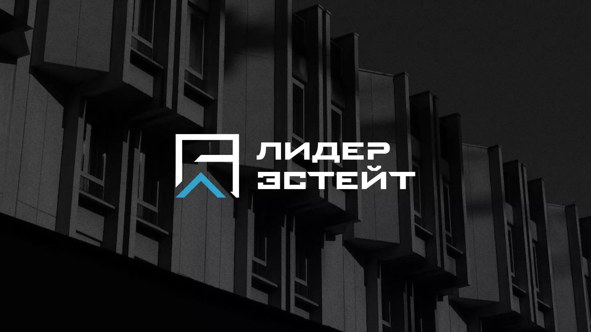 Разработка логотипа агентства недвижимости «Лидер Эстейт» в Шенкурске